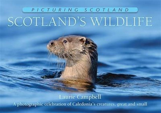 Scotland's Wildlife: Picturing Scotland : A photographic celebration of Caledonia's creatures, great and small