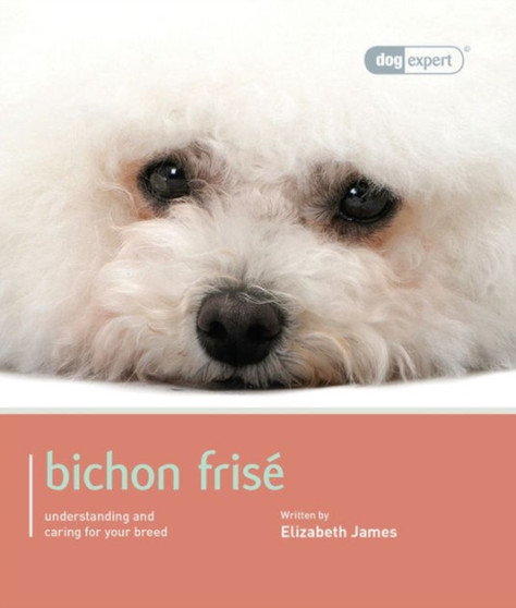 Bichon Frise : Bichon Frise - Dog Expert