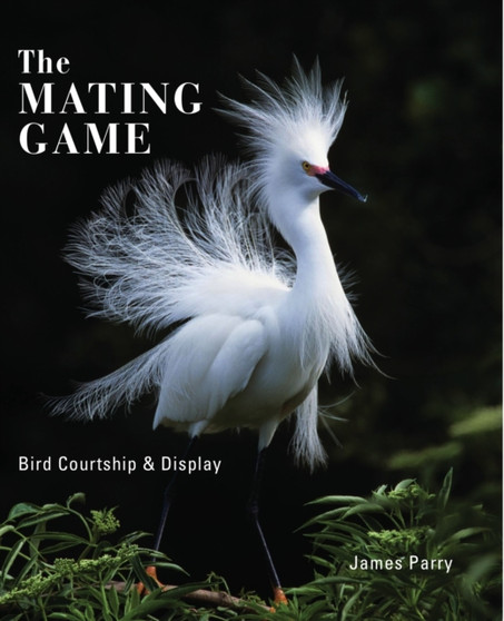 The Mating Lives Of Birds