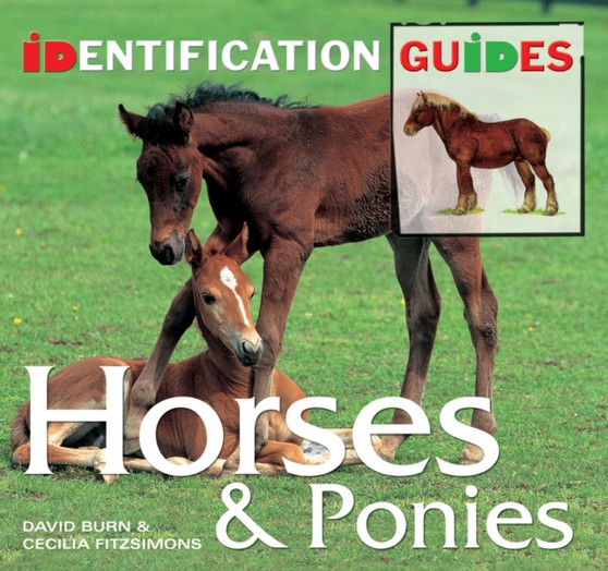 Horses & Ponies : Identification Guide