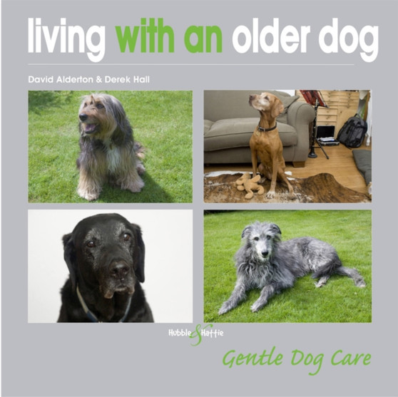 Living with an Older Dog