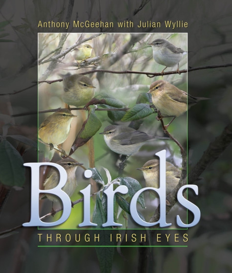Birds : Through Irish Eyes