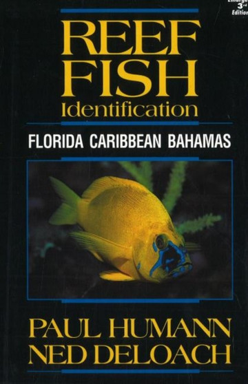 Reef Fish Identification : Florida, Caribbean, Bahamas