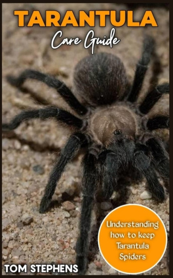 TARANTULA Care Guide : Understanding how to keep Tarantula spider