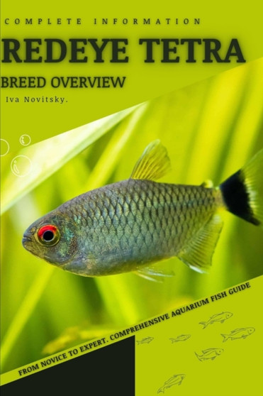 Redeye Tetra : From Novice to Expert. Comprehensive Aquarium Fish Guide