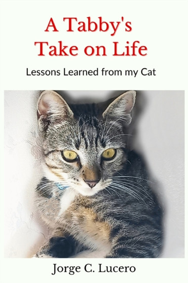 A Tabby's Take on Life : Lessons learned from my cat