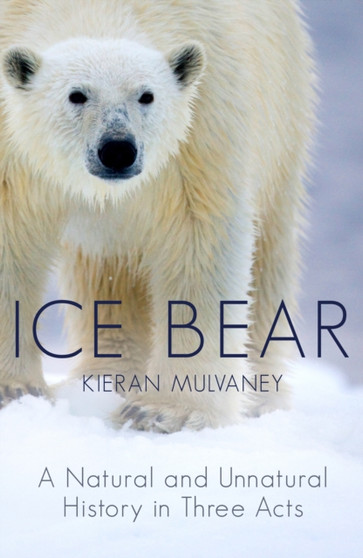 Ice Bear : A Natural and Unnatural History in Three Acts