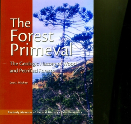The Forest Primeval : The Geologic History of Wood and Petrified Forests
