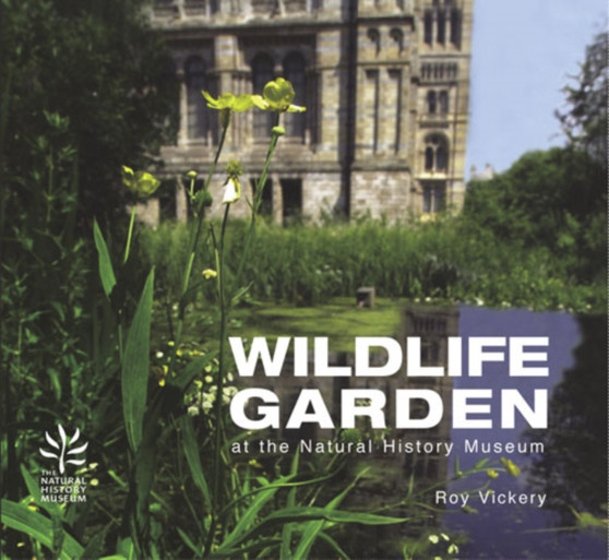 Wildlife Garden : At the Natural History Museum