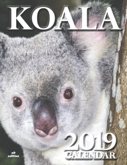 Koala 2019 Calendar (UK Edition)