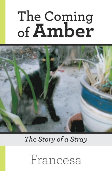The Coming of Amber : The Story of a Stray