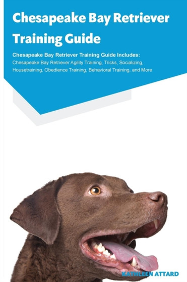 Chesapeake Bay Retriever Training Guide Chesapeake Bay Retriever Training Guide Includes : Chesapeake Bay Retriever Agility Training, Tricks, Socializing, Housetraining, Obedience Training, Behavioral