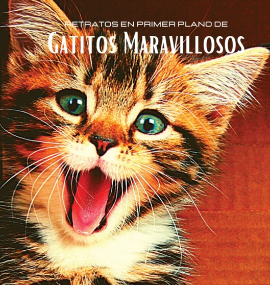 Retratos en Primer Plano de Gatitos Maravillosos : Album de fotos en color con preciosos gatitos. Idea de regalo para los amantes de los pequenos felinos y de la naturaleza. Libro de fotos con retrato