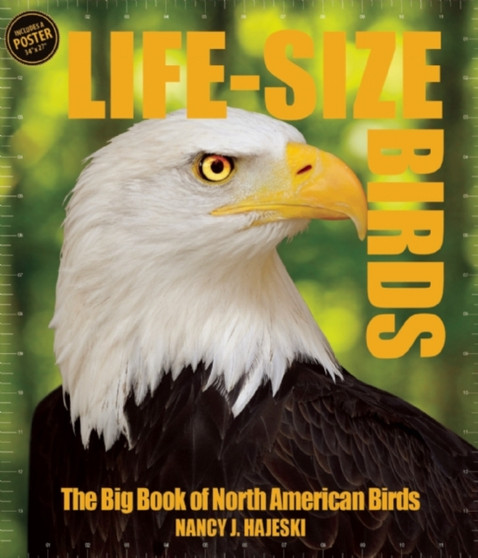 Life-Size Birds : The Big Book of North American Birds