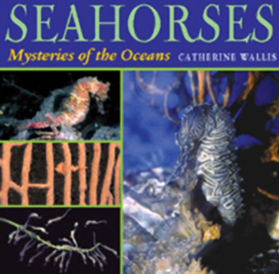 Seahorses : Mysteries of the Ocean