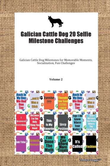 Galician Cattle Dog 20 Selfie Milestone Challenges Galician Cattle Dog Milestones for Memorable Moments, Socialization, Fun Challenges Volume 2