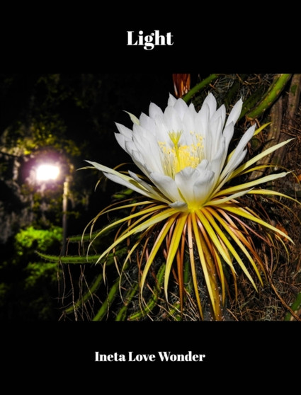 Light by Ineta Love Wonder - Hardback