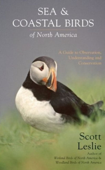 Sea and Coastal Birds of North America : A Guide to Observation, Understanding and Conservation