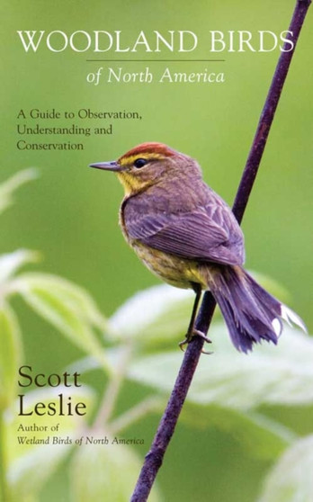Woodland Birds of North America : A Guide to Observation, Understanding and Conservation
