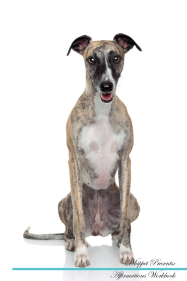 Whippet Affirmations Workbook Whippet Presents : Positive and Loving Affirmations Workbook. Includes: Mentoring Questions, Guidance, Supporting You.