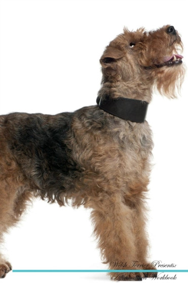 Welsh Terrier Affirmations Workbook Welsh Terrier Presents : Positive and Loving Affirmations Workbook. Includes: Mentoring Questions, Guidance, Supporting You.