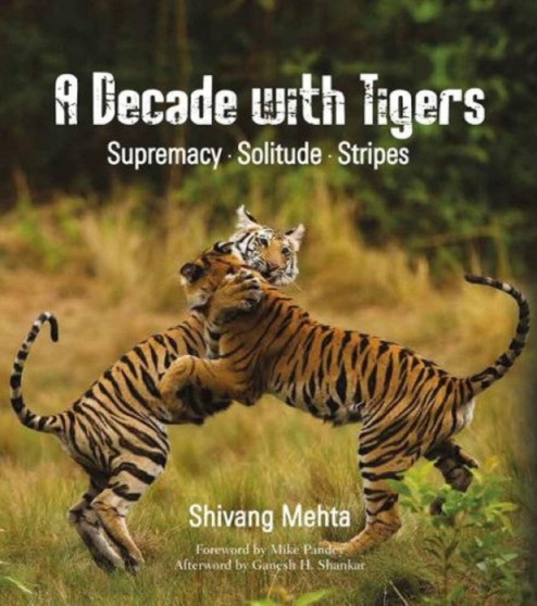 A Decade with Tigers : Supremacy. Solitude. Stripes