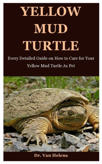 Yellow Mud Turtle : Every Detailed Guide on How to Care for Your Yellow Mud Turtle As Pet