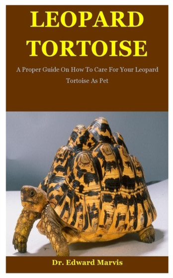 Leopard Tortoise : A Proper Guide On How To Care For Your Leopard Tortoise As Pet