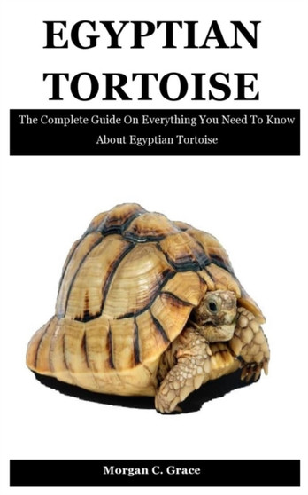 Egyptian Tortoise : The Complete Guide On Everything You Need To Know About Egyptian Tortoise