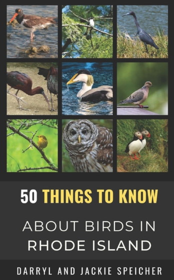 50 Things to Know About Birds in the Rhode Island : Birding in the Ocean State : 20