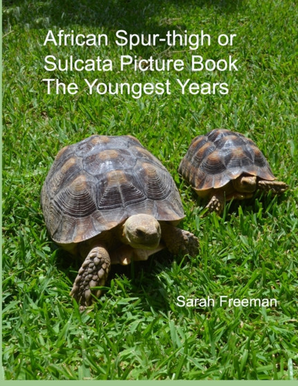 African Spur-thigh or Sulcata Picture Book - The Youngest Years : 2