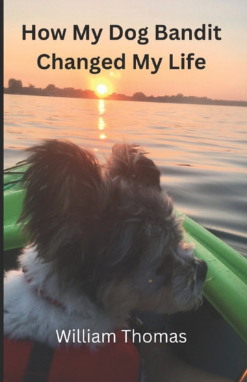 How My Dog Bandit Changed My Life