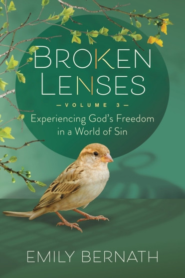 Broken Lenses, Volume 3 : Experiencing Gods Freedom in a World of Sin