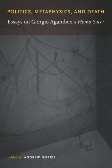 Politics, Metaphysics, and Death : Essays on Giorgio Agamben's Homo Sace