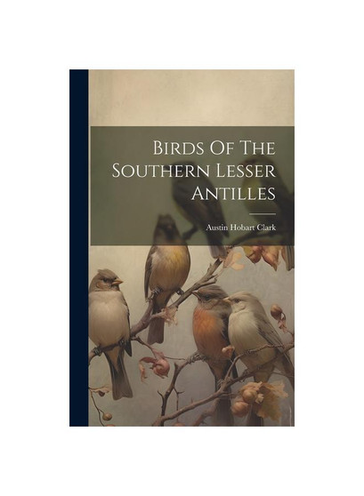 Birds Of The Southern Lesser Antilles