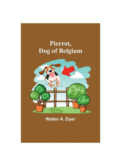 Pierrot, Dog of Belgium