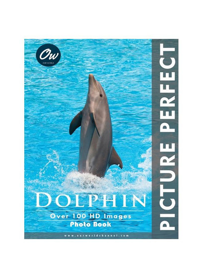 Dolphin: Picture Perfect Photo Book
