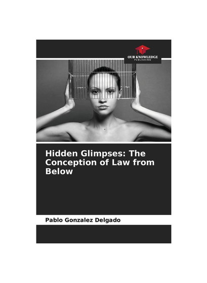 Hidden Glimpses: The Conception of Law from Below