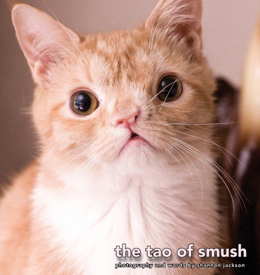 The Tao of Smush : 1