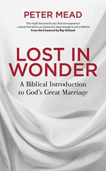 Lost in Wonder : A Biblical Introduction to God's Great Marriage