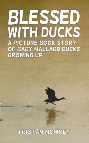 Blessed With Ducks : A Picture Book Story of Baby Mallard Ducks Growing Up