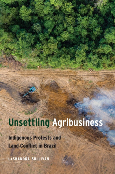 Unsettling Agribusiness : Indigenous Protests and Land Conflict in Brazil