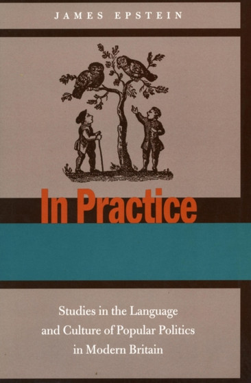 In Practice : Studies in the Language and Culture of Popular Politics in Modern Britain
