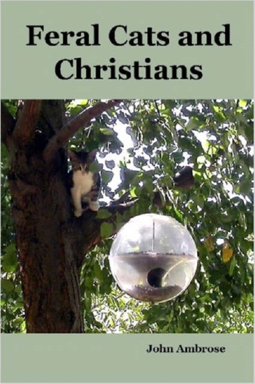 Feral Cats and Christians