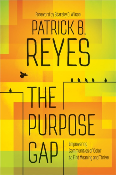 The Purpose Gap : Empowering Communities of Color to Find Meaning and Thrive
