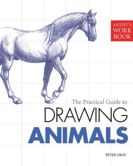 Drawing Animals by Peter Gray - Paperback