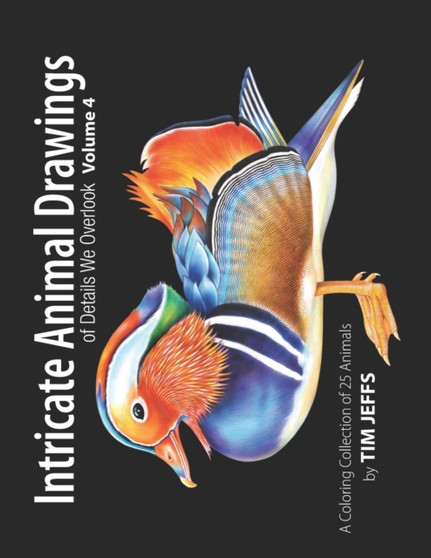 Intricate Animal Drawings of Details We Overlook : Volume 4 : 5 by Tim Jeffs - Paperback