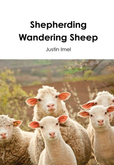 Shepherding Wandering Sheep Shepherding Wandering Sheep