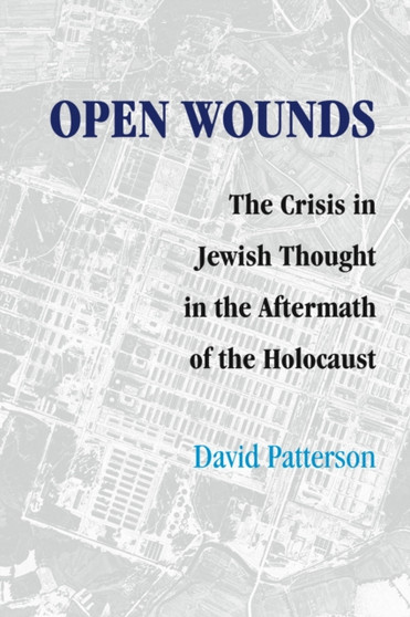 Open Wounds : The Crisis of Jewish Thought in the Aftermath of the Holocaust
