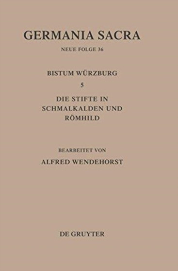 Die Bistumer Der Kirchenprovinz Mainz: Das Bistum Wurzburg 5: Die Stifte in Schmalkalden Und Romhild